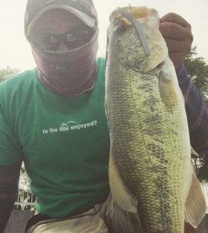 hideup 久次米良信 ブログ写真 2017/08/19