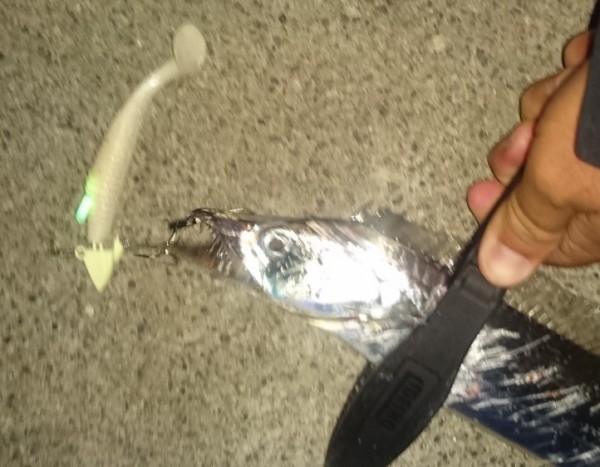 hideup 久次米良信 ブログ写真 2017/10/12