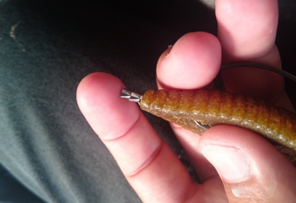 hideup 久次米良信 ブログ写真 2017/08/18