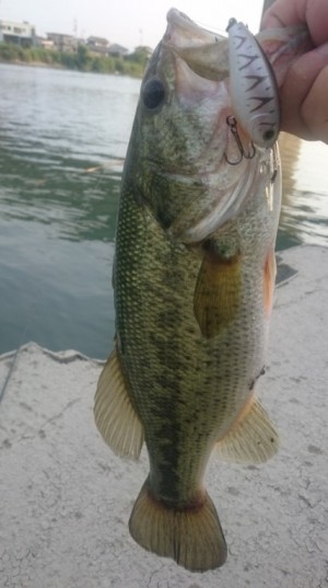 hideup 久次米良信 ブログ写真 2016/07/12