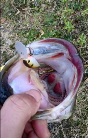 hideup 久次米良信 ブログ写真 2017/01/03