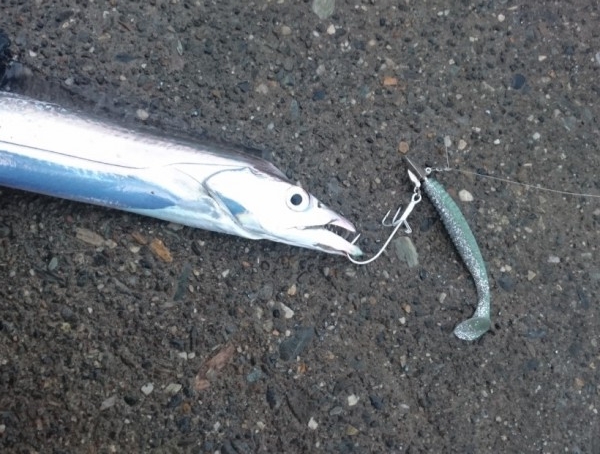 hideup 久次米良信 ブログ写真 2017/10/13