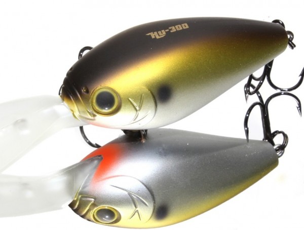 hideup 久次米良信 ブログ写真 2017/10/17