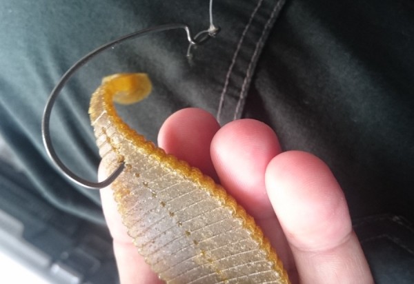 hideup 久次米良信 ブログ写真 2017/08/18