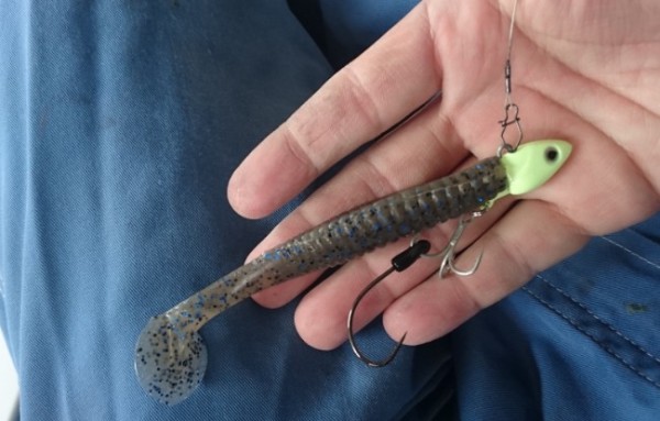 hideup 久次米良信 ブログ写真 2016/10/13