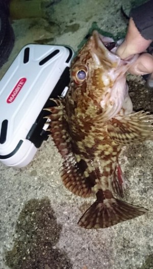 hideup 久次米良信 ブログ写真 2016/12/14