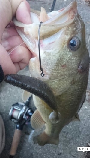 hideup 久次米良信 ブログ写真 2016/05/14