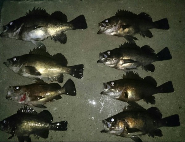 hideup 久次米良信 ブログ写真 2017/03/11