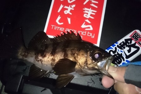 hideup 久次米良信 ブログ写真 2017/01/18