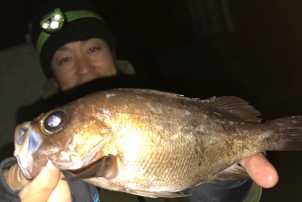 hideup 久次米良信 ブログ写真 2017/02/09