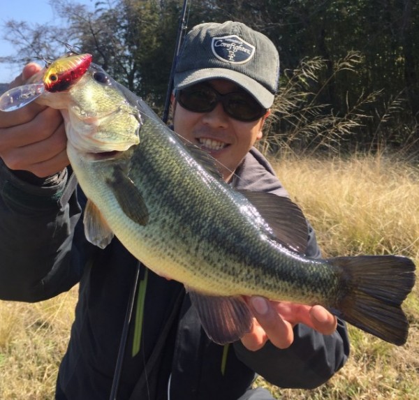 hideup 久次米良信 ブログ写真 2017/04/04