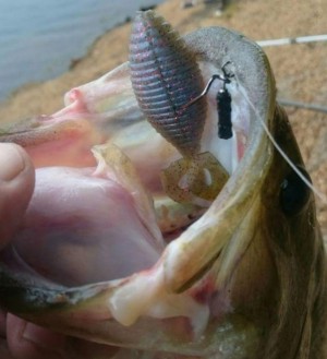 hideup 久次米良信 ブログ写真 2017/09/13