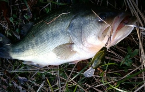 hideup 久次米良信 ブログ写真 2017/12/02