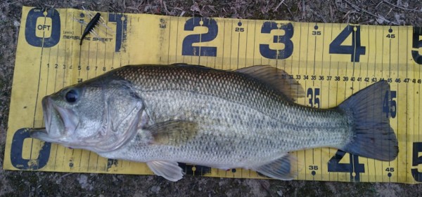 hideup 久次米良信 ブログ写真 2017/05/20