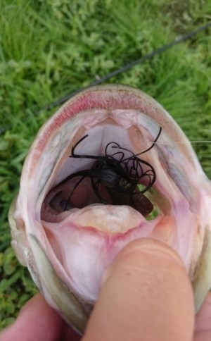 hideup 久次米良信 ブログ写真 2016/09/20