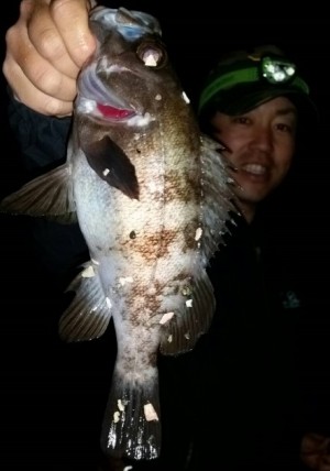 hideup 久次米良信 ブログ写真 2017/05/03