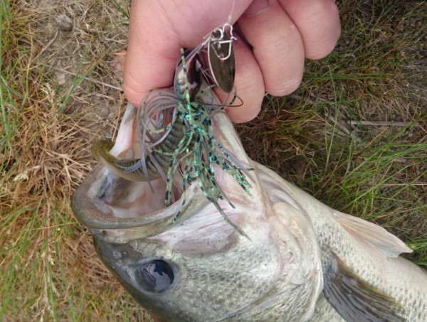 hideup 久次米良信 ブログ写真 2017/05/04