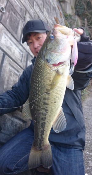 hideup 久次米良信 ブログ写真 2017/04/20