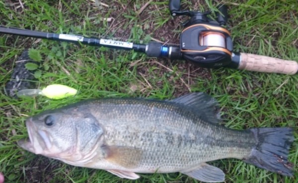 hideup 久次米良信 ブログ写真 2017/11/14