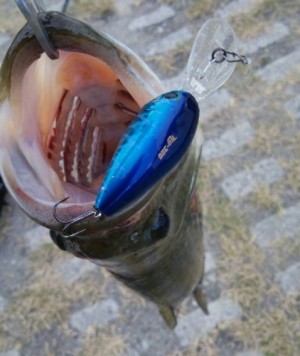 hideup 久次米良信 ブログ写真 2017/08/10