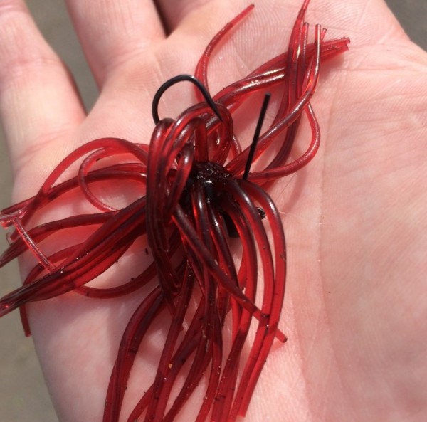 hideup 久次米良信 ブログ写真 2016/05/11