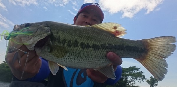 hideup 久次米良信 ブログ写真 2017/06/19