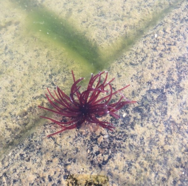 hideup 久次米良信 ブログ写真 2016/07/13