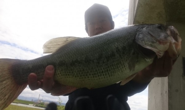 hideup 久次米良信 ブログ写真 2017/05/05