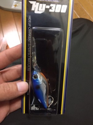 hideup 久次米良信 ブログ写真 2017/01/10