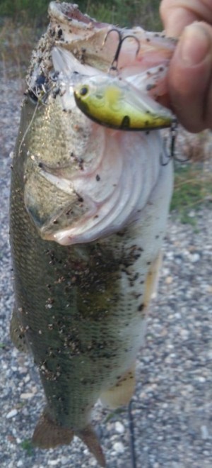 hideup 久次米良信 ブログ写真 2017/06/21