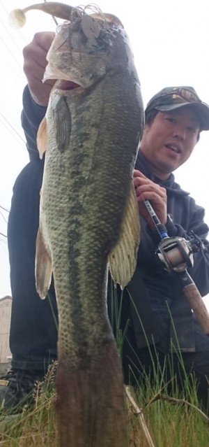 hideup 久次米良信 ブログ写真 2017/05/04