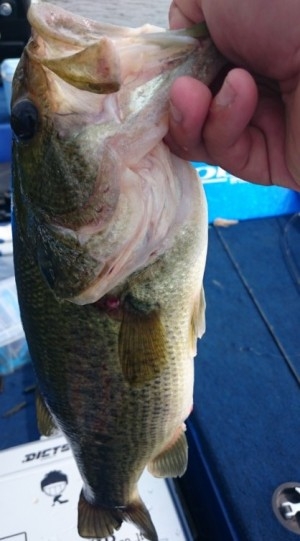 hideup 久次米良信 ブログ写真 2016/08/16