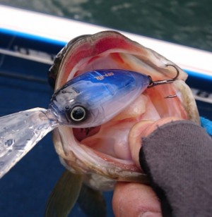 hideup 久次米良信 ブログ写真 2017/04/03