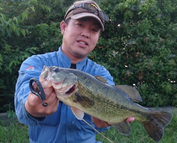 hideup 久次米良信 ブログ写真 2017/06/08