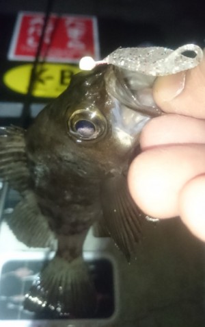 hideup 久次米良信 ブログ写真 2017/01/18