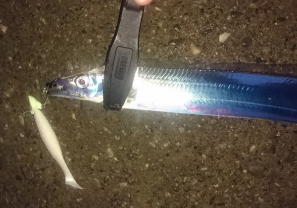 hideup 久次米良信 ブログ写真 2017/10/05