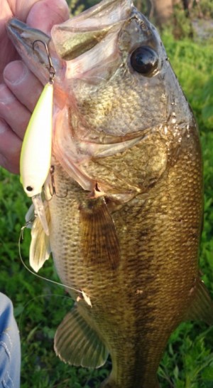 hideup 久次米良信 ブログ写真 2017/05/02