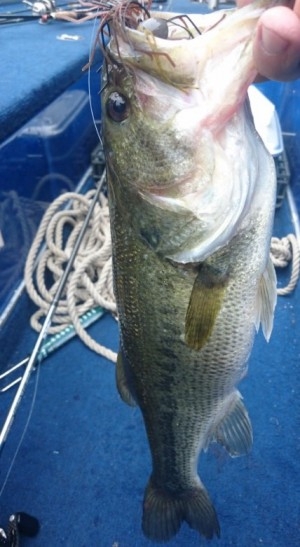 hideup 久次米良信 ブログ写真 2016/05/16