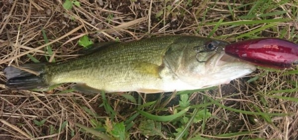 hideup 久次米良信 ブログ写真 2016/10/14