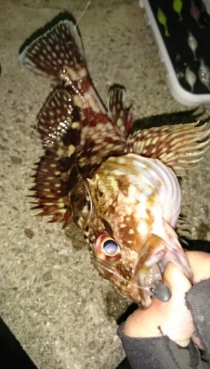 hideup 久次米良信 ブログ写真 2016/12/14