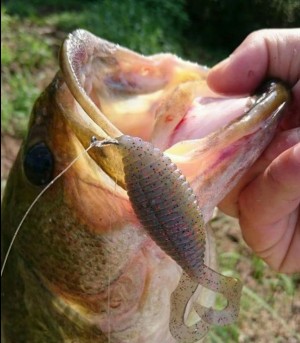 hideup 久次米良信 ブログ写真 2017/08/17