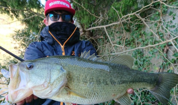 hideup 久次米良信 ブログ写真 2017/12/18