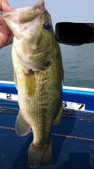 hideup 久次米良信 ブログ写真 2016/08/16