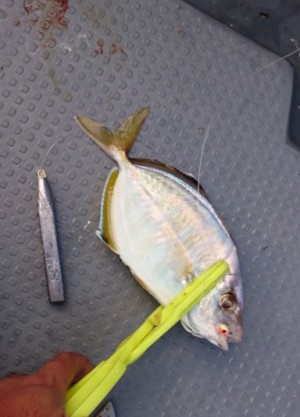 hideup 久次米良信 ブログ写真 2017/11/04