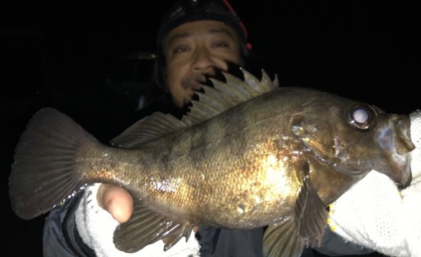 hideup 久次米良信 ブログ写真 2017/02/09