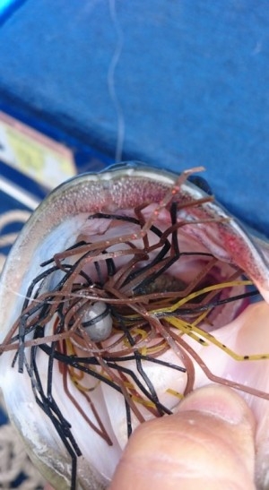 hideup 久次米良信 ブログ写真 2016/05/16