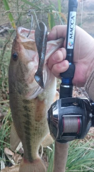 hideup 久次米良信 ブログ写真 2016/05/14