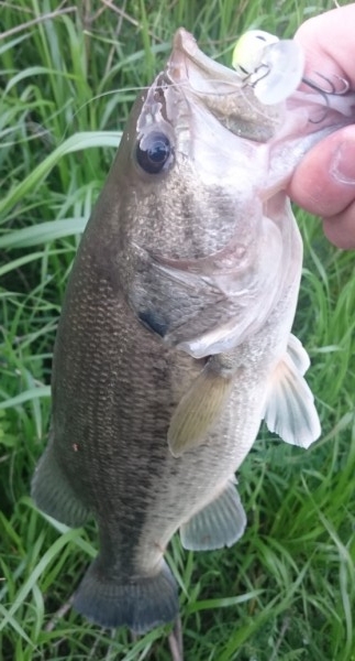 hideup 久次米良信 ブログ写真 2017/04/21