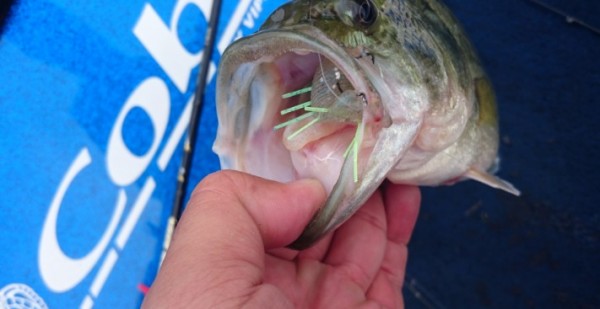 hideup 久次米良信 ブログ写真 2016/08/09