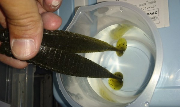 hideup 久次米良信 ブログ写真 2017/01/19